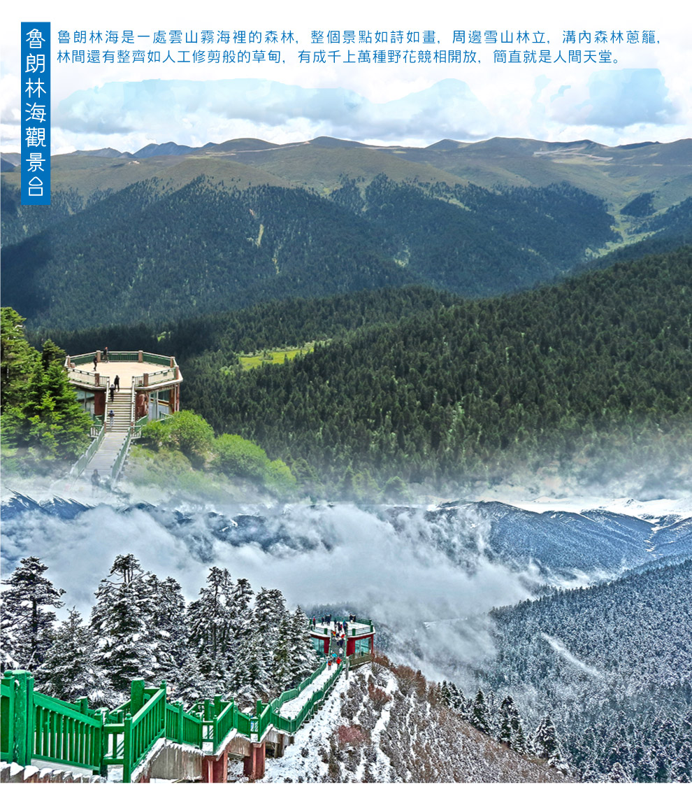 林芝魯朗林海