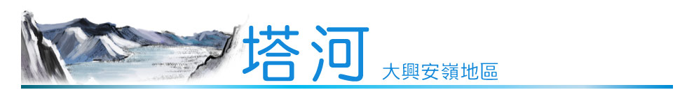 塔河