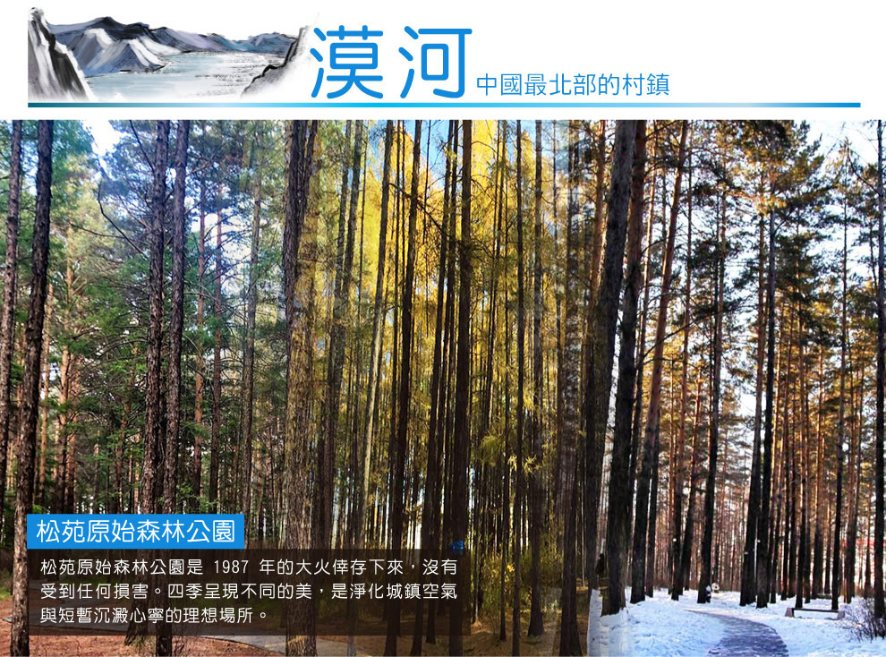 漠河松苑原始森