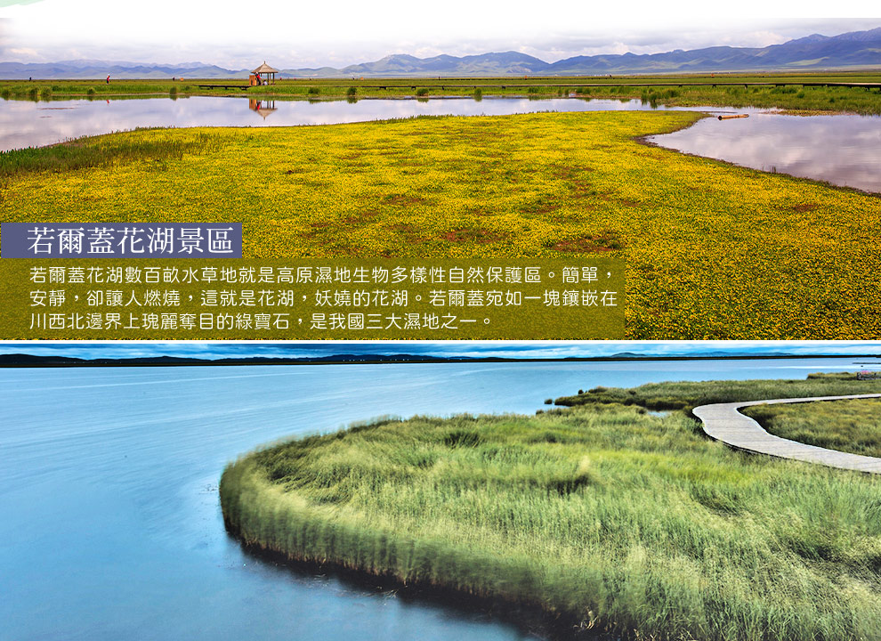 若爾蓋花湖