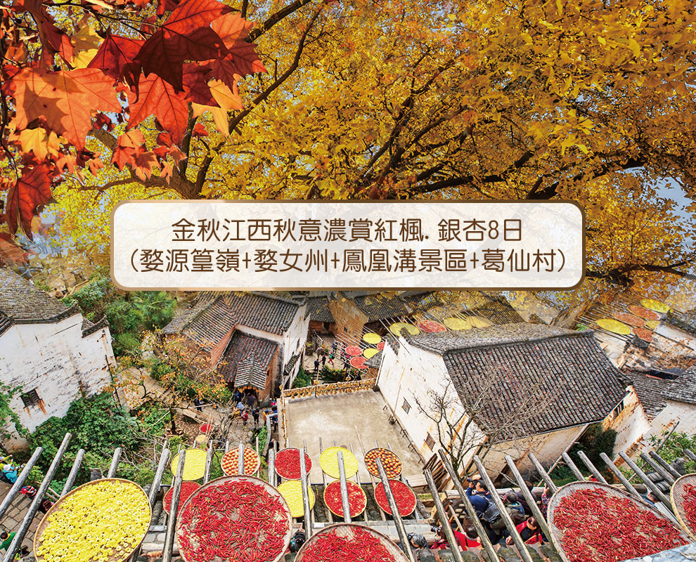獨美江西8日