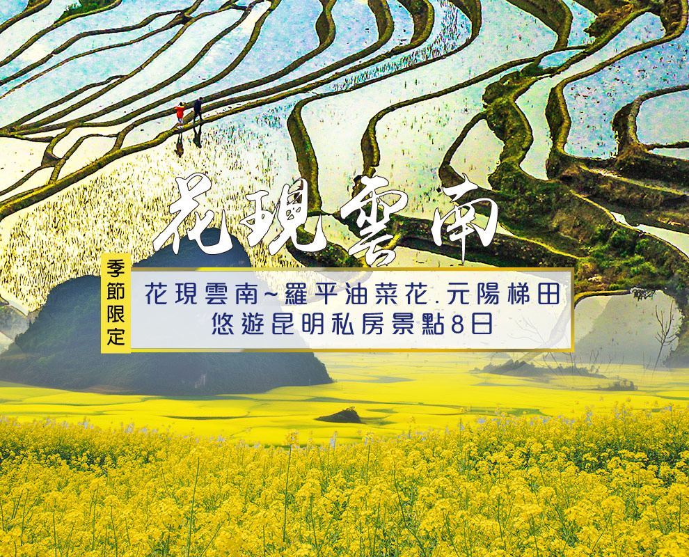 花現雲南~羅平油菜花.元陽梯田.悠遊昆明私房景點8日