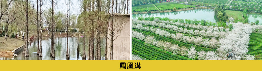 鳳凰溝