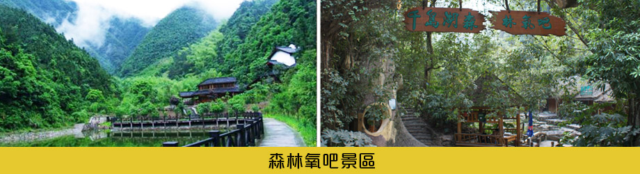 森林氧吧景區