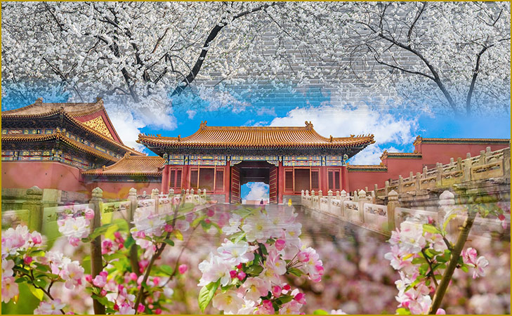 圖片1